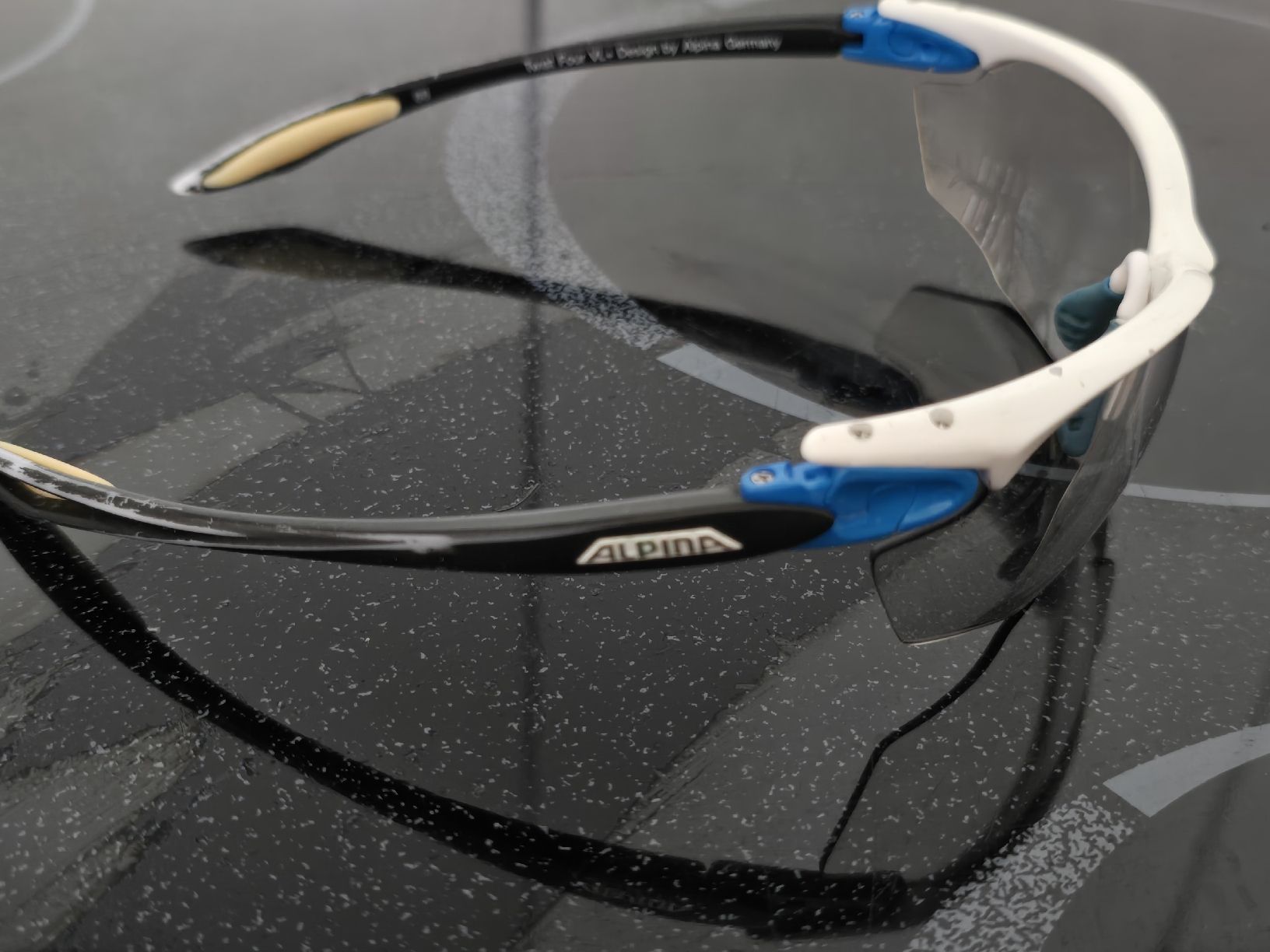 Alpina Occhiali & Lenti: Sonnenbrille alpine – Usato da Disentis/Mustér venduto da magliamel 1