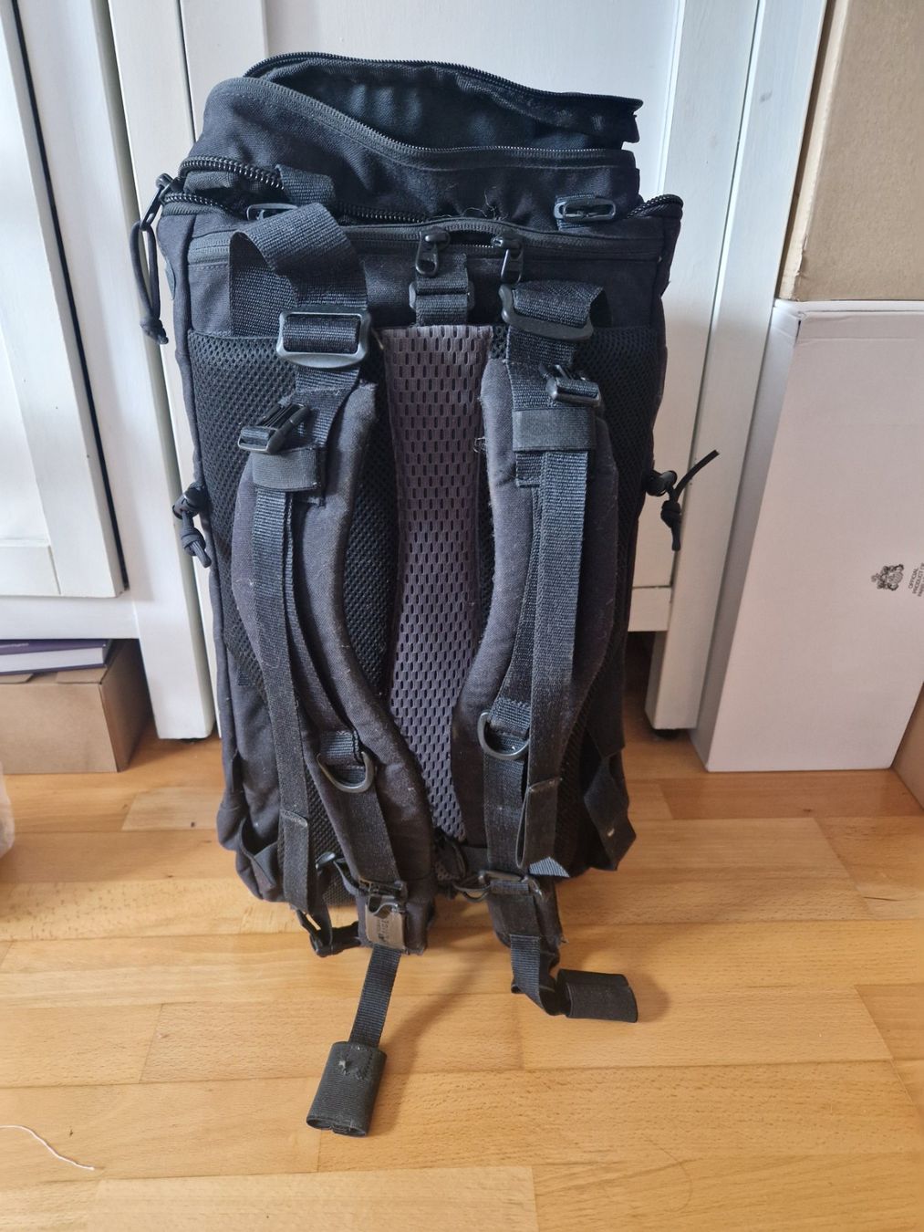 Rucksäcke: Rucksack Tasmanian Tiger Modular 30 Liter – Neu (gemäss Beschreibung) aus St. Gallen von Sayuri 1