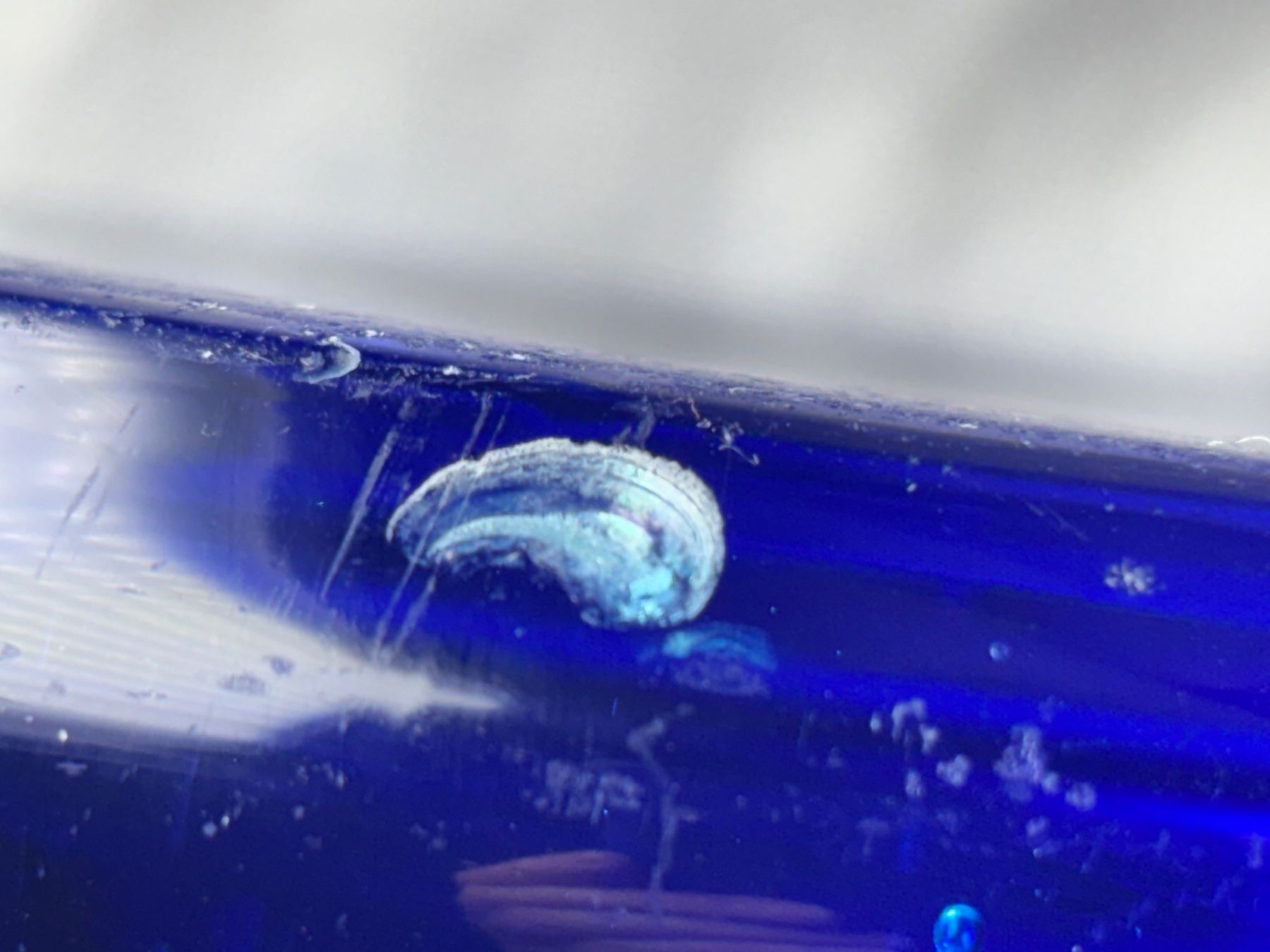 Flaschen: Grosser Siphon aus blauem Glas antik "ER" – Gebraucht aus Hinwil von DaniBachman 7
