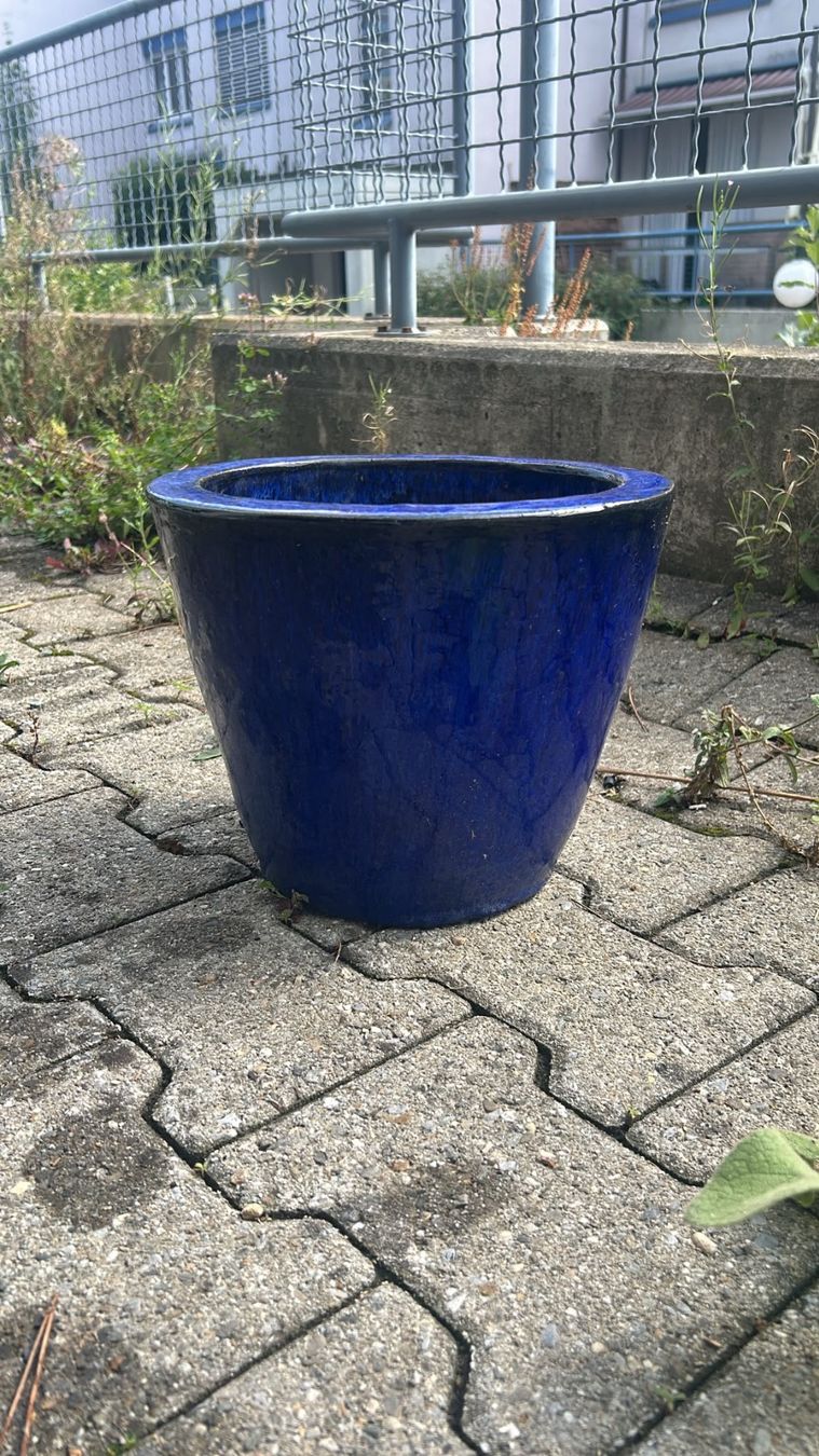 Pots de fleurs: Verschiedene Blumentöpfe – D'occasion à Starrkirch-Wil par Fanciullo 9