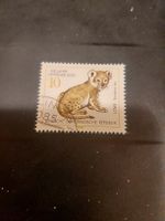 Timbre rare RDA 1978 - Zoo Leipzig, bébé lion - parfait!