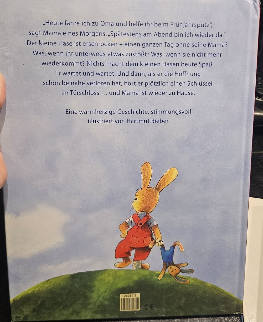 Libri: Kinderbuch "Mama wann kommst du" – Usato da Grabs venduto da ricolino12 1