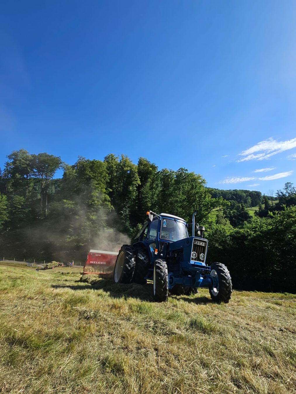 Ford Trattori: Ford 6600 Traktor – Usato da Lengnau venduto da jah_m6ph 1