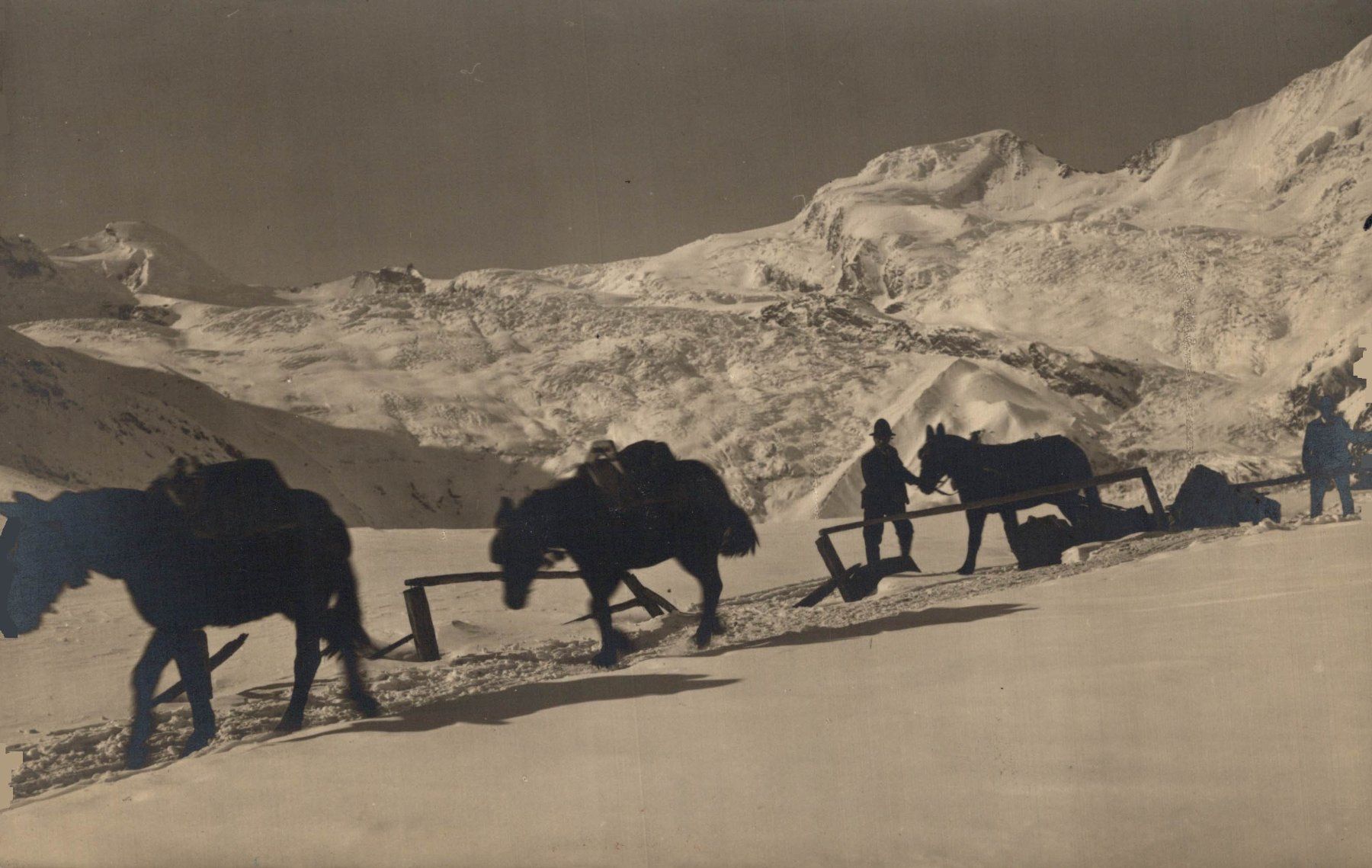 Cartoline postali: Maultierpost nach Saas-Fee – Usato da Bronschhofen venduto da Astore