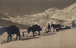 Maultierpost nach Saas-Fee