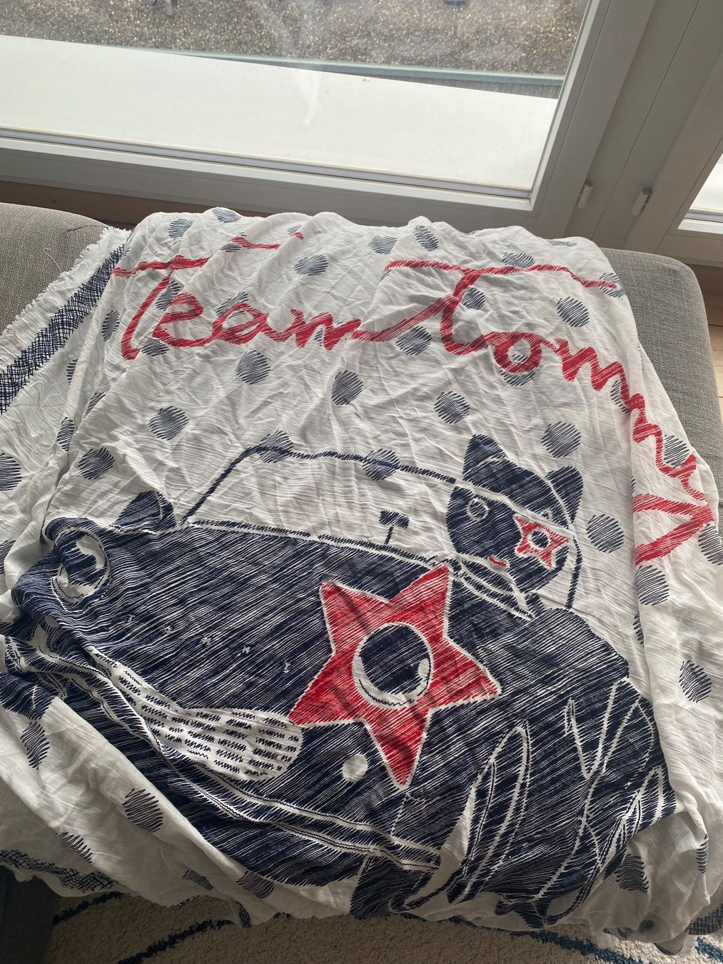Tommy Hilfiger Foulards & écharpes: Schal Tommy Hilfiger – D'occasion à Rebstein par ann_b2rg 1