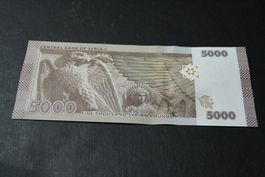 UNC Syrie 5000 Pounds 2021