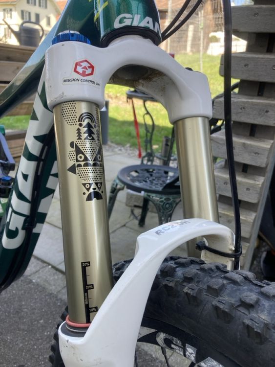 Giant Faith DH Downhill Park-Bike S (Gebraucht) in