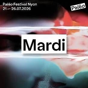 Tickets: Paleo billets mardi mercredi et dimanche  – Gebraucht aus Territet von Domiswiss 3