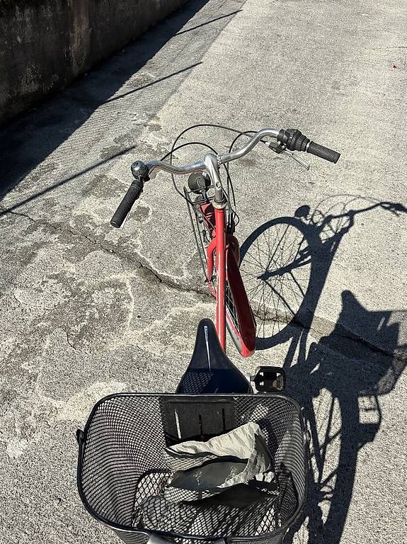 Vélos: Bici  Belvelo – D'occasion à Castione par lea_lvc2 1