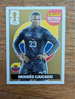 Extra Sticker Caisedo Gold
