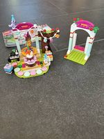 Lego Set - Geburtstag 41110 