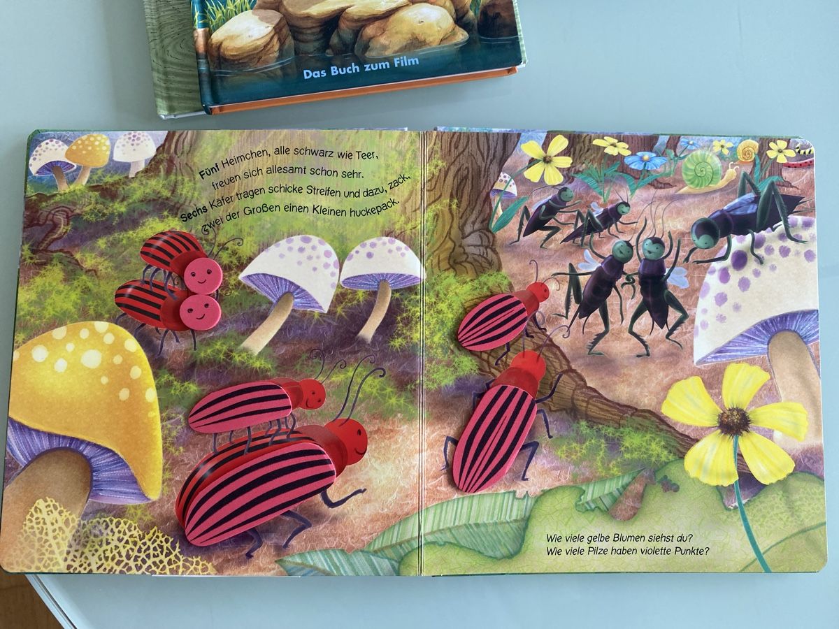 Libri: Pop-up Buch "Auf dem Salamander-Felsen" – Usato da Schmerikon venduto da SwissKFO 4