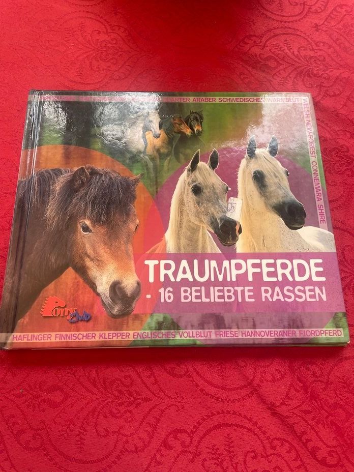 Livres: Traumpferde 16 beliebte Rassen – D'occasion à Bergdietikon par Book-4-you_2nd