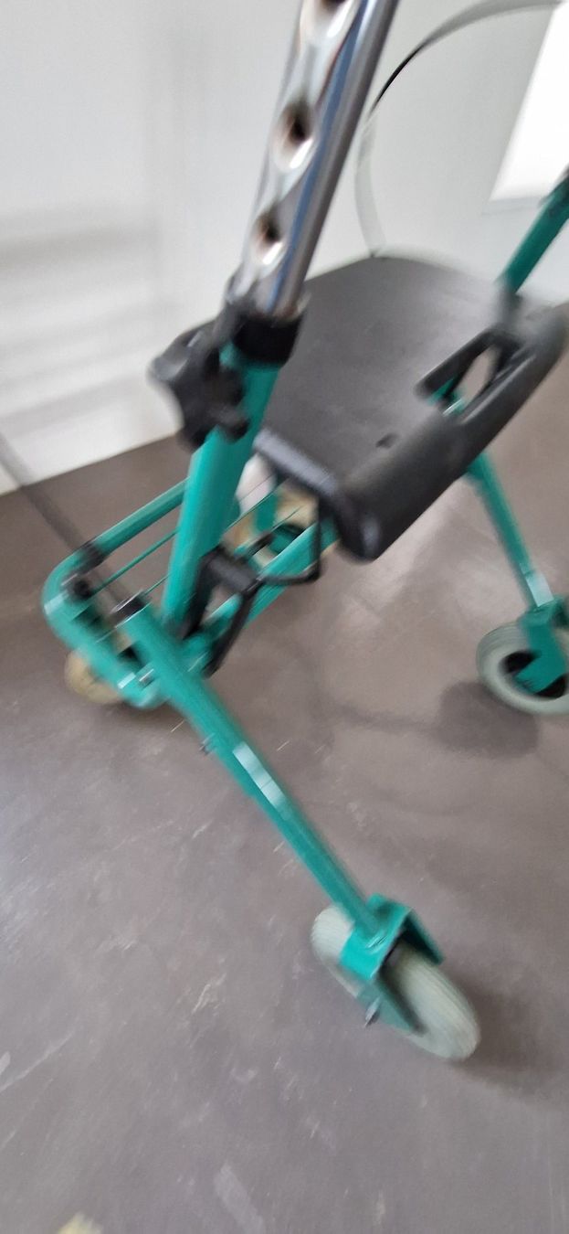 Ausili per la deambulazione: Rollator Farbe Grün Nr. 1 – Usato da Niederbipp venduto da Trude04 4