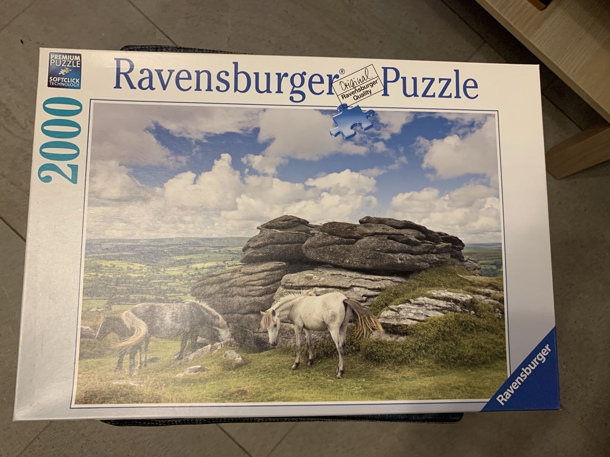 Ravensburger Puzzle: Ravensburger Puzzle 2000 Teile – Nuovo (secondo la descrizione) da Winterthur venduto da Stuecheli