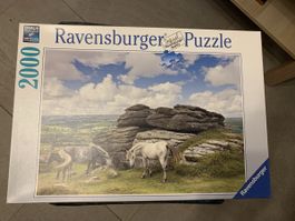 Ravensburger Puzzle 2000 Teile