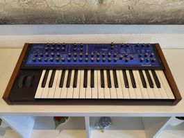 Dave Smith evolver