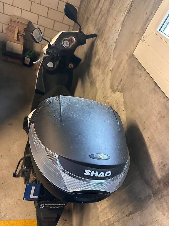 Sym Strada: Roller Sym orbit lll 125 – Usato da Russikon venduto da bienchenbee 2