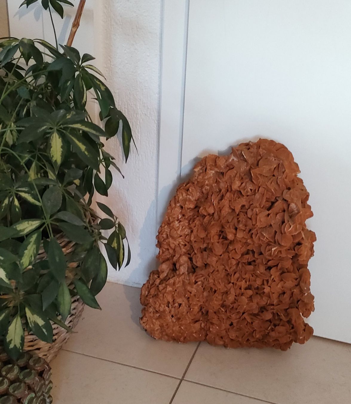 Fossili: Rose des Sables Wüstenrose 8.6kg – Usato da Riaz venduto da Tobydesmonts