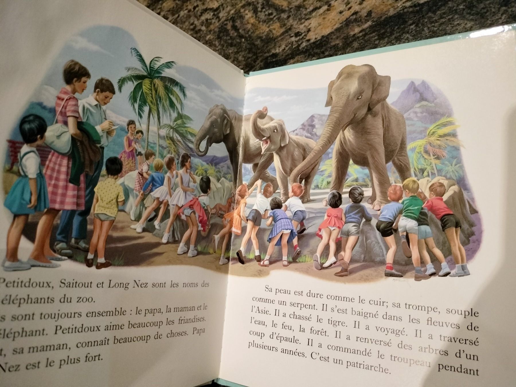 Libri: Martine au zoo dès 3 ans – Usato da Cortaillod venduto da rozinna 5