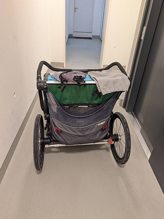 Thule Remorques: Thule Chariot Lite 2 – D'occasion à Adlikon b.Regensdf par Shole150 2