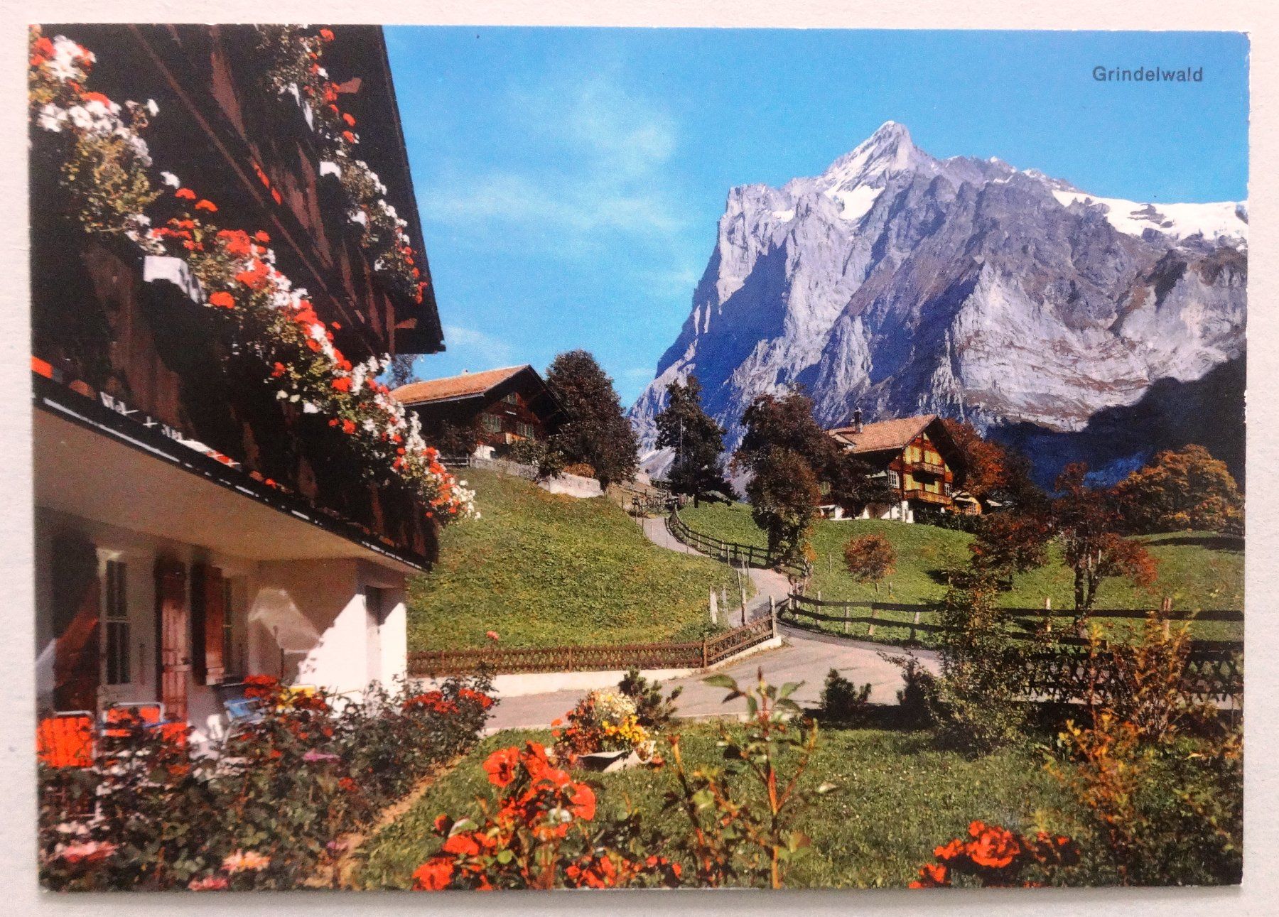 Ansichtskarten: Grindelwald mit Wetterhorn – Gebraucht aus Fétigny von Billy2miny