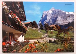 Grindelwald mit Wetterhorn