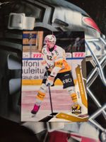 Elvis Schläpfer HC Ajoie 2025/26 Sportzoo