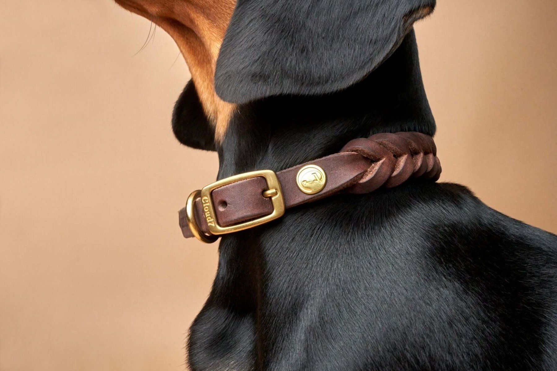 Appenzeller Hunde Halsband  Vollrindleder Rot Mit Messingbeschlgen,  Schweiz Appenzeller Hundehalsband Breite