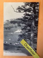 1906 Chalet des Crebillons et Aiguille de