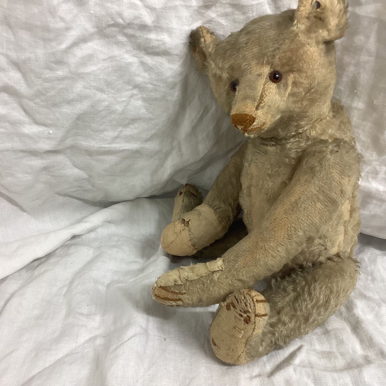 Steiff Spielzeuge: STEIFF TEDDY VON 1908/1912 SEHR SELTEN – Gebraucht aus Münchenstein von NoSu98