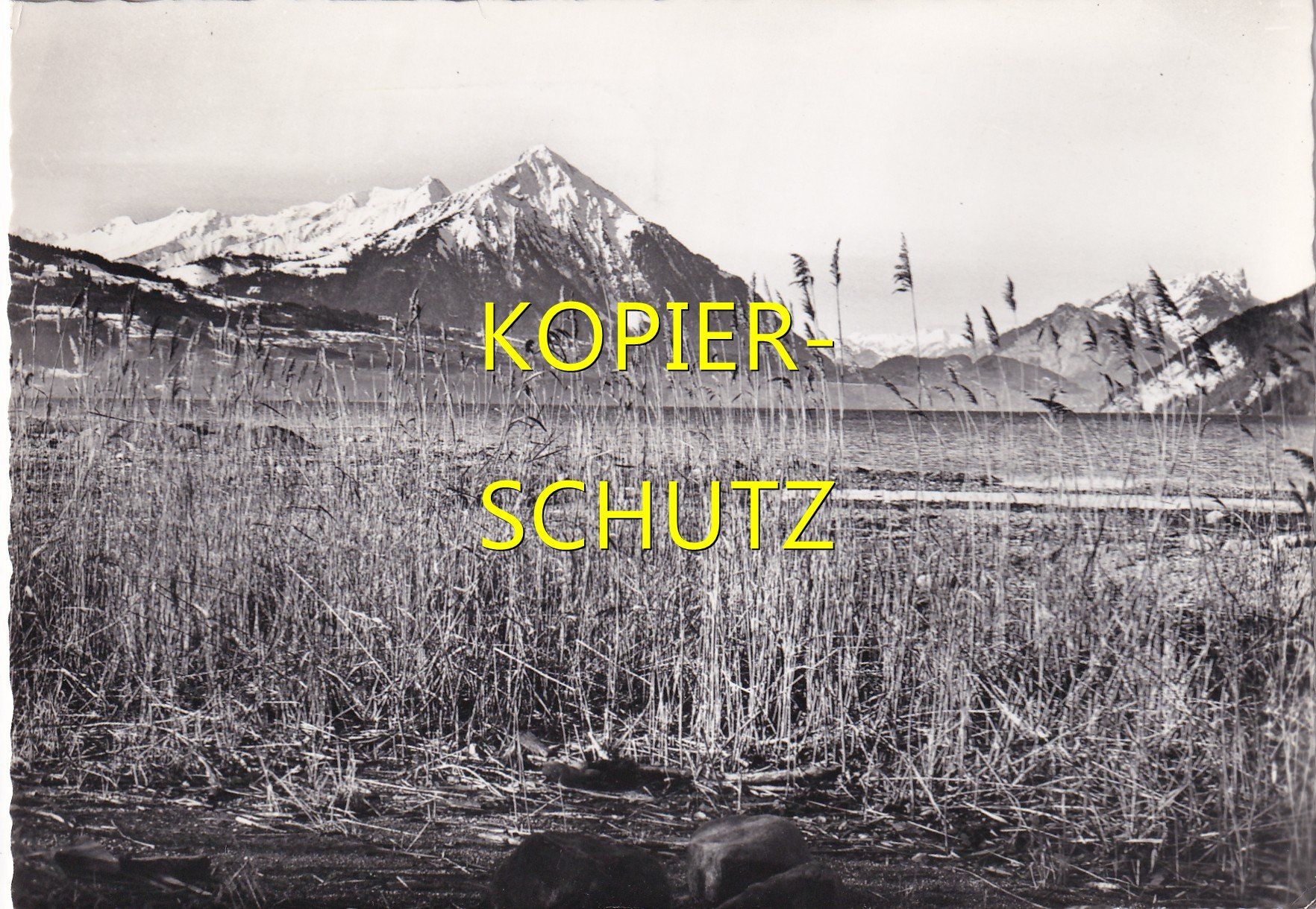 Cartoline postali: Thunersee mit Blick auf den Niesen /bc – Usato da Hombrechtikon venduto da Rudolf07