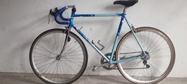 Renvelo Allegro
