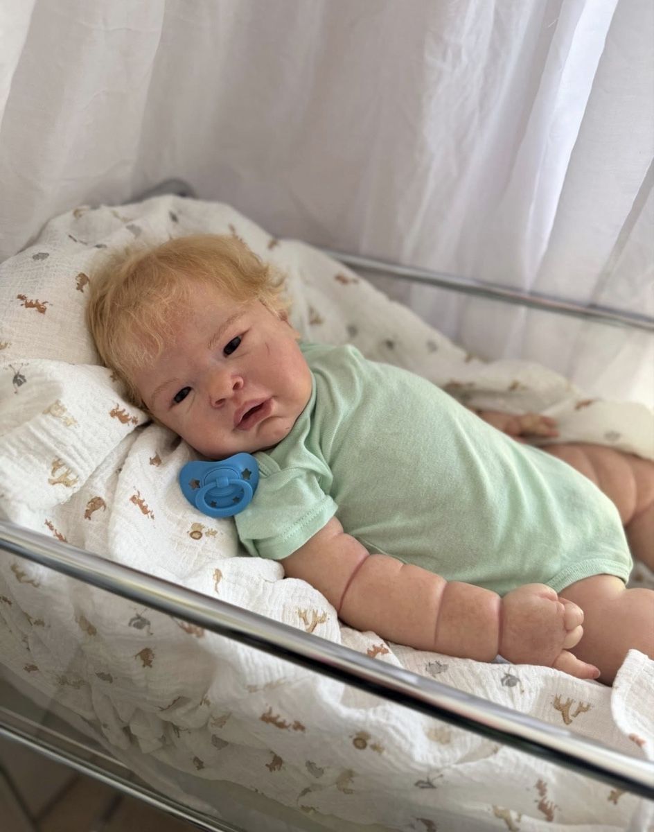 Reborn Puppen: Reborn  – Neu (gemäss Beschreibung) aus Unterentfelden von van_m8g7 1