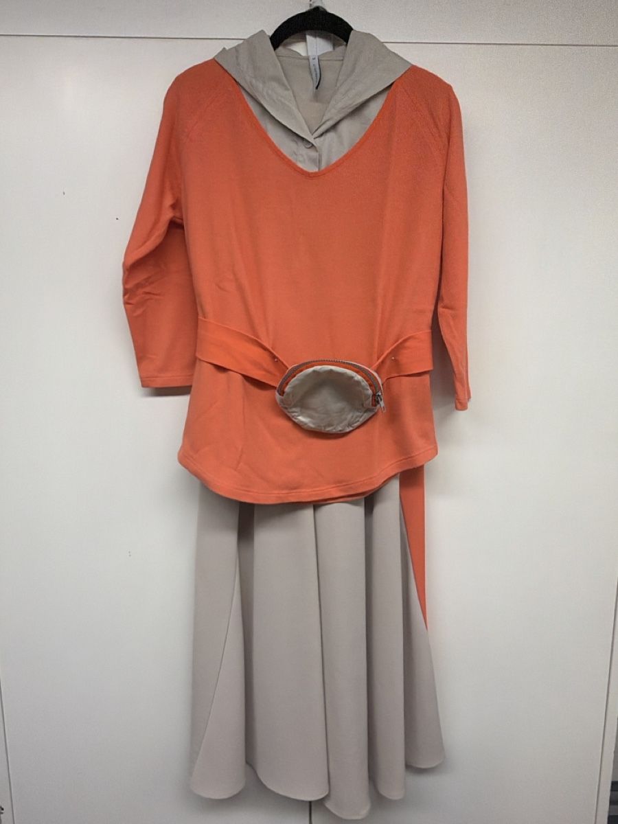 Ania Schierholt Blusen: Ania Schierholt Hemdbluse, Pullover & Rock - Top Zustand – Gebraucht aus Mörschwil von philmensa