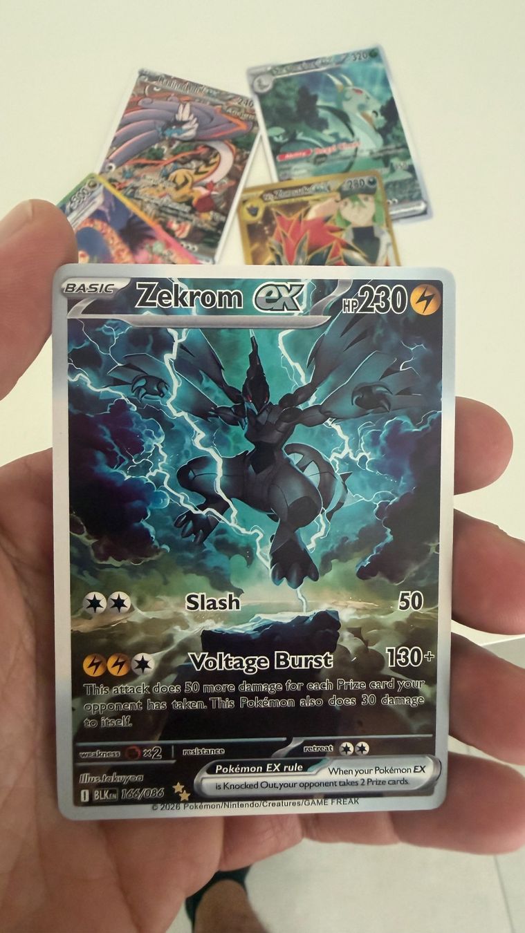 Pokémon Carte collezionabili: Pokemon Zekrom ex 166/086 – Nuovo (secondo la descrizione) da Lugano venduto da fra_pzp9 2