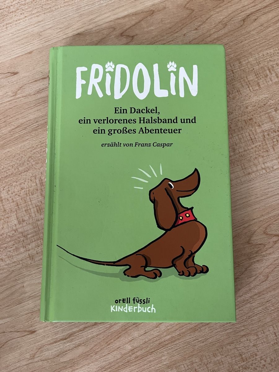 Libri: Fridolin Kinderbuch – Usato da Reinach AG venduto da kima73