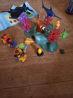 Playmobil Taucher Set