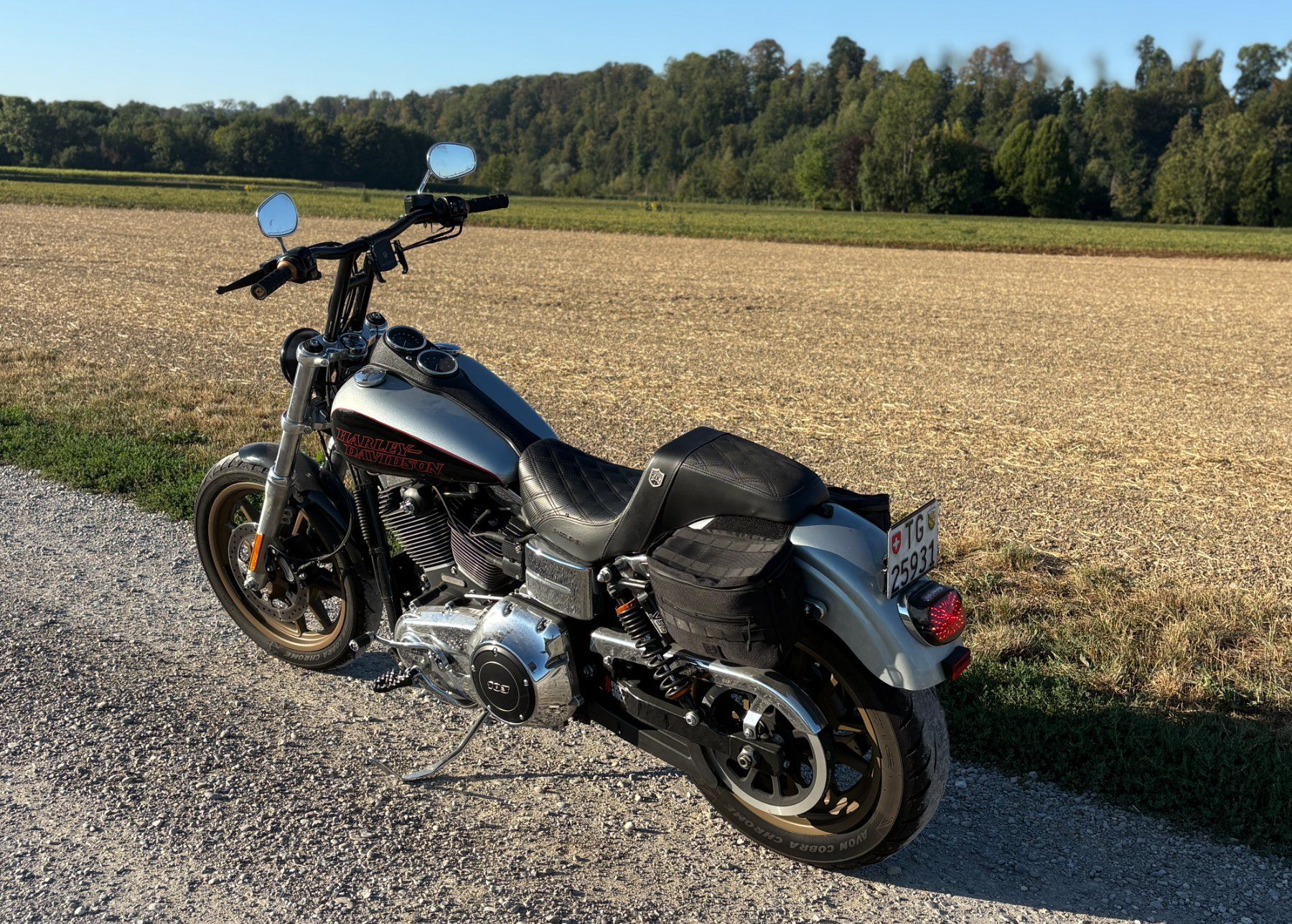 Harley-Davidson Chopper: Harley Dyna Lowrider RS – Usato da Münchwilen TG venduto da VeniceBeach02