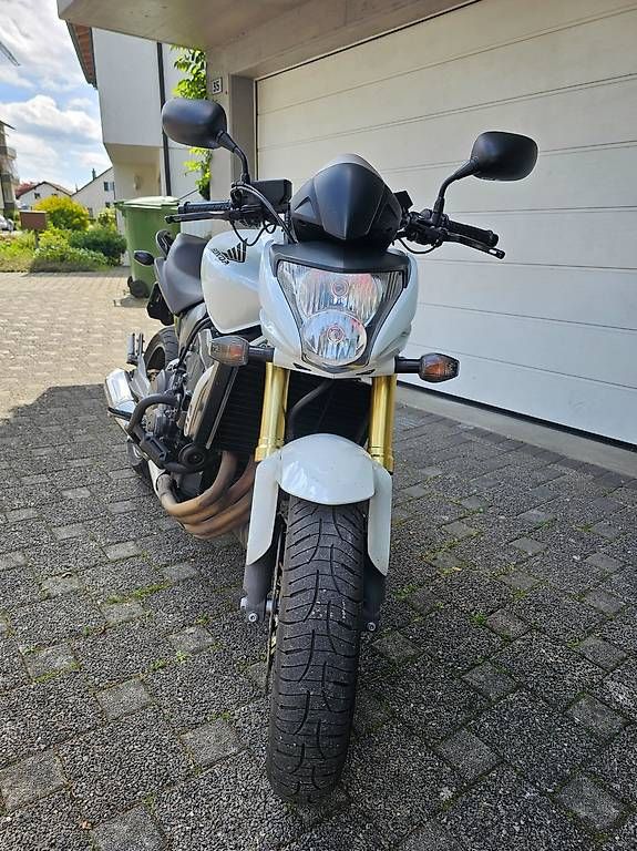 Honda Strada: Honda CB600F Hornet – Usato da Reinach AG venduto da Pajak 1