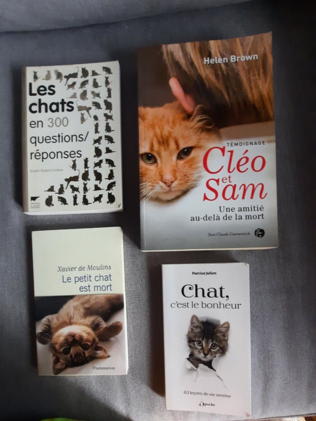 Libri: 100% CHATS – Usato da Lausanne venduto da BrigitteAnne