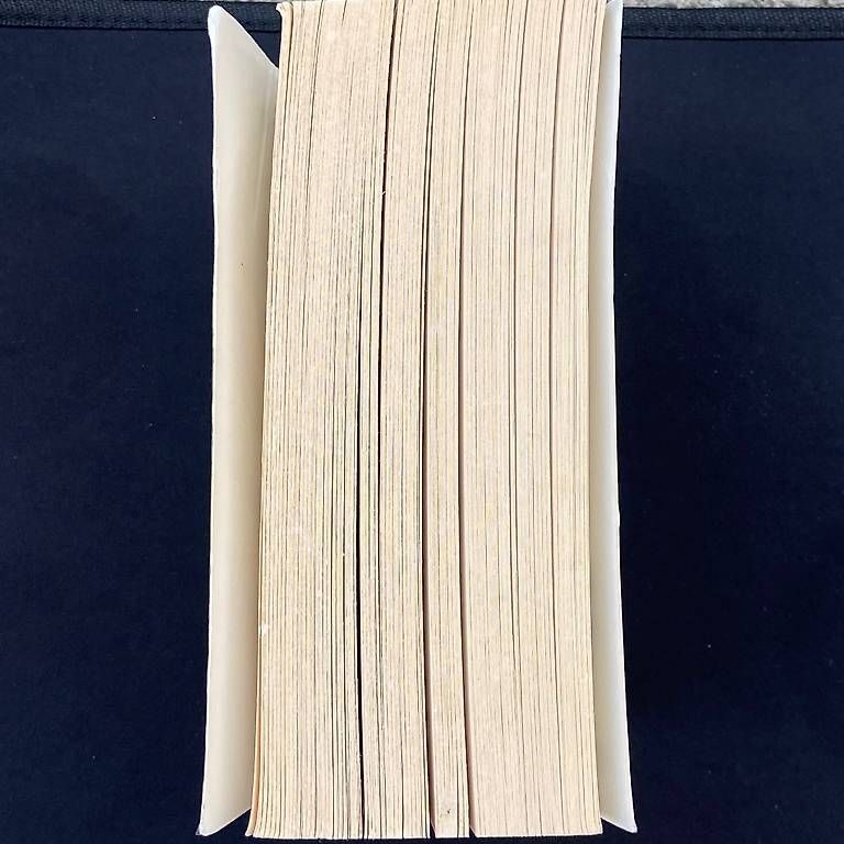 Libri: Das Drachentor - Jenny Mai Nuyen – Usato da Adliswil venduto da 8lizzy8 1