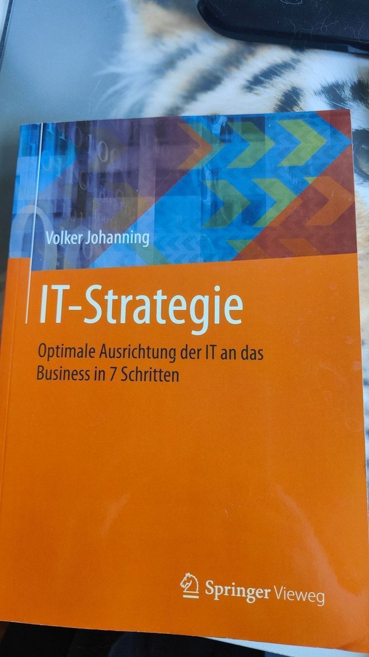 Libri: IT-Strategie Buch – Nuovo (secondo la descrizione) da Ettingen venduto da schnaegli1987