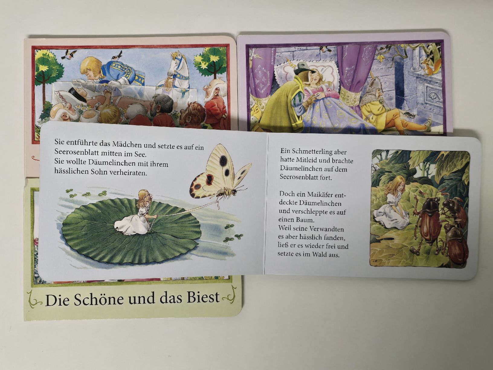 Libri: 4er Set Mini Märchenbücher Pappe Schneewittchen Dornröschen  – Usato da Teufenthal AG venduto da thuzsu 1