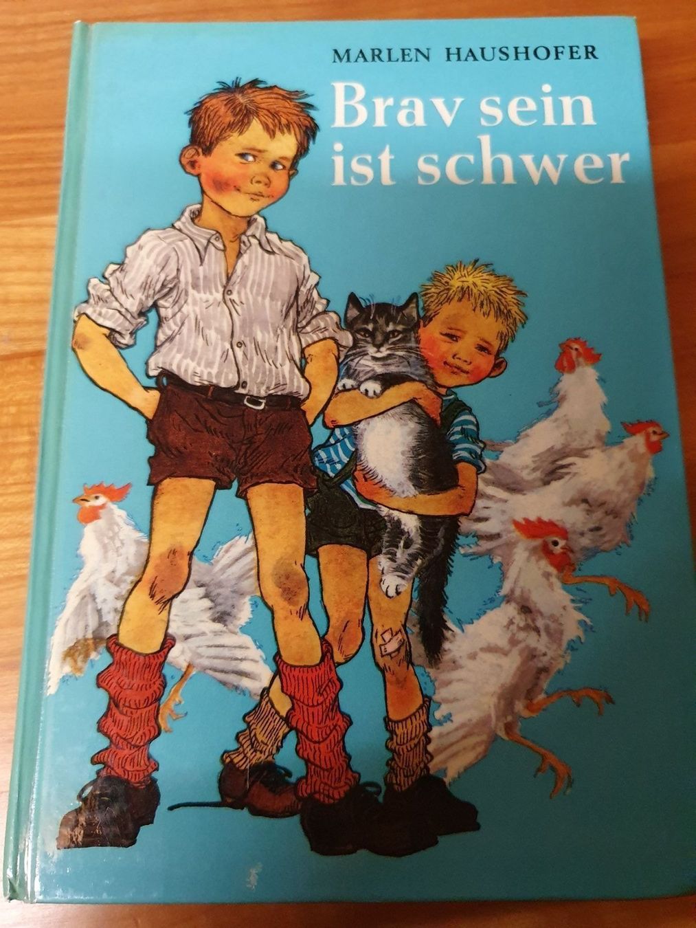 Libri: Marlen Haushofer - Brav sein ist schwer – Usato da Oberdorf BL venduto da BaldenEagle