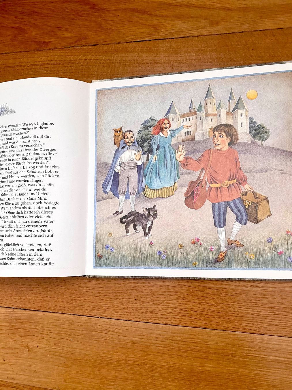 Libri: Zwerg Nase, Wilhelm Hauff, Märchen – Usato da Muttenz venduto da Bugijeta 4