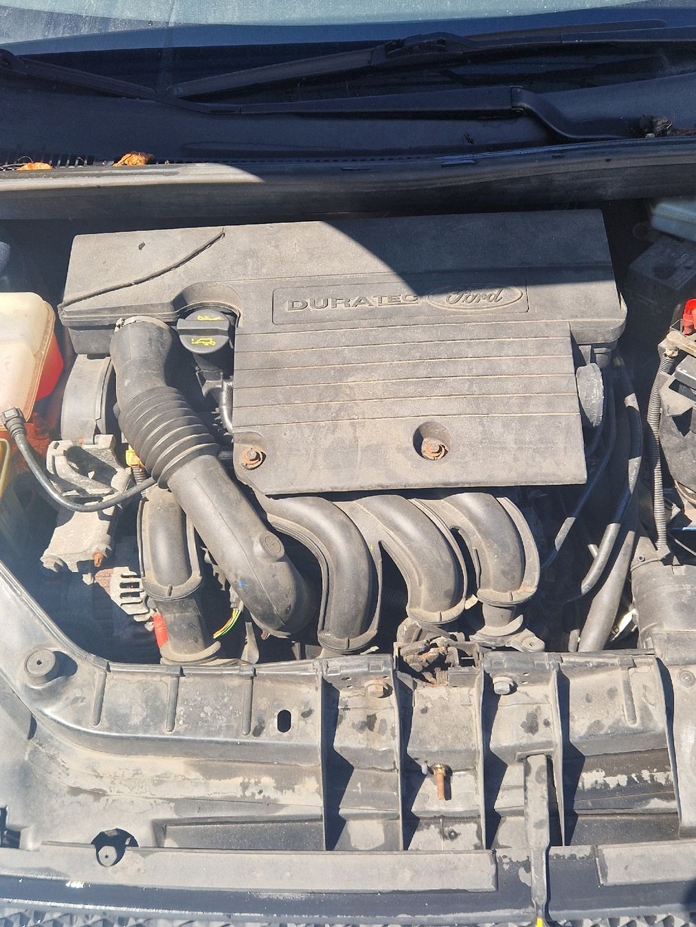 Ford Automobili: Ford Fiesta – Usato da Etziken venduto da Roschi-racing 8