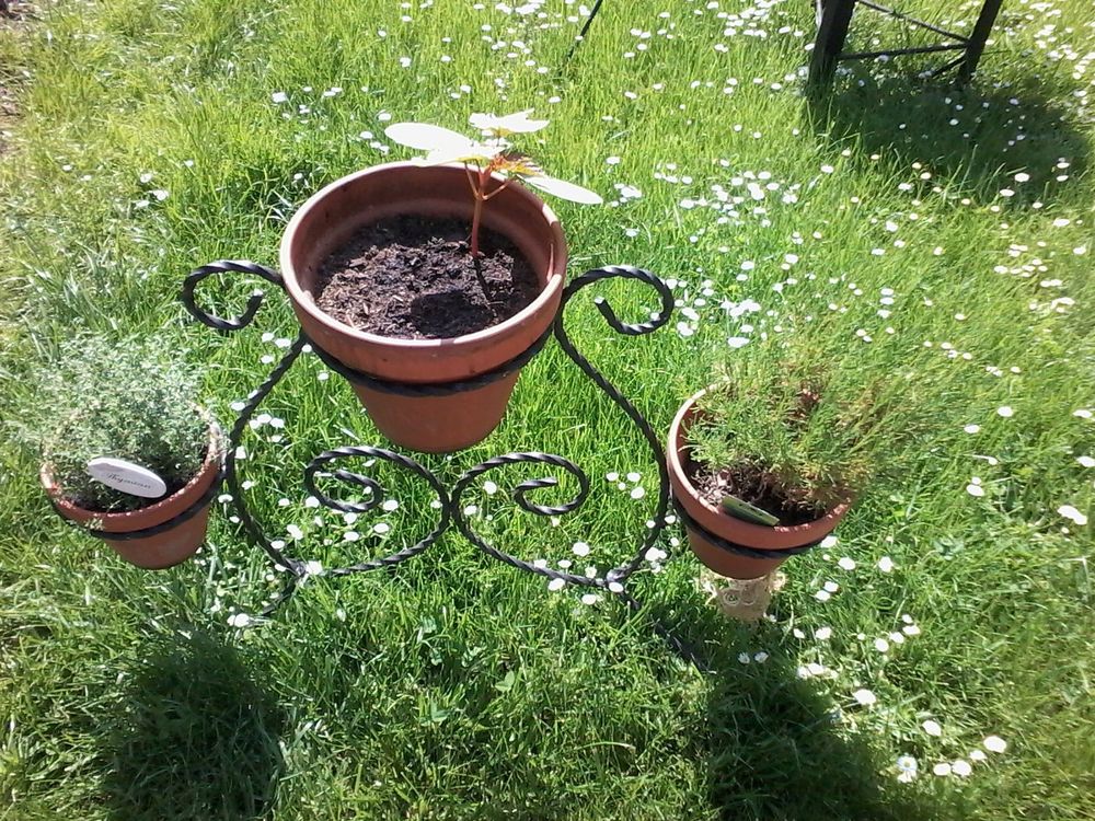 Ständer für 3 Blumentöpfe Kaufen auf Ricardo