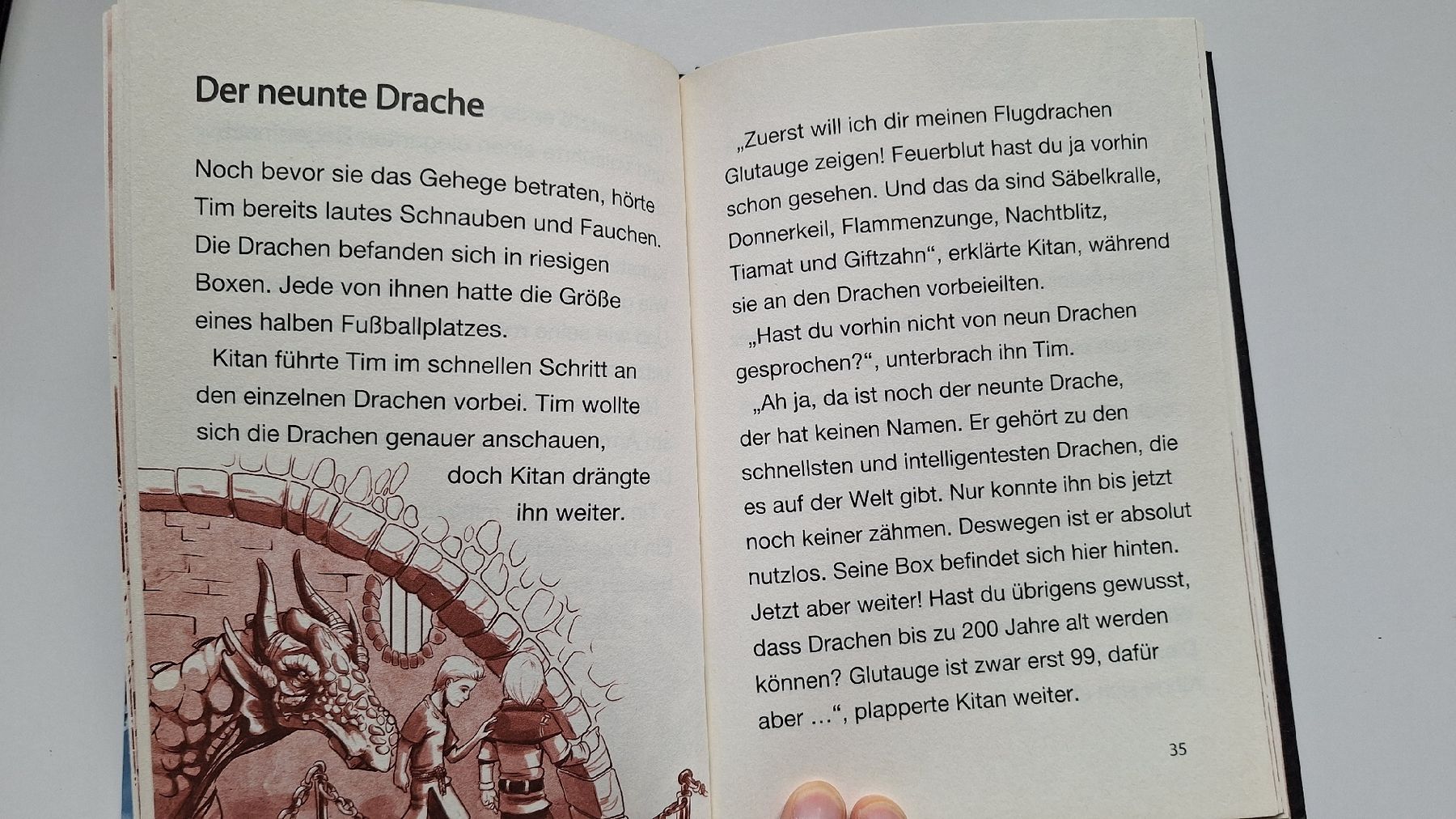 Libri: Drachenreich Dragonia, Band 1, 3, 4 – Usato da Spreitenbach venduto da misi.m 2